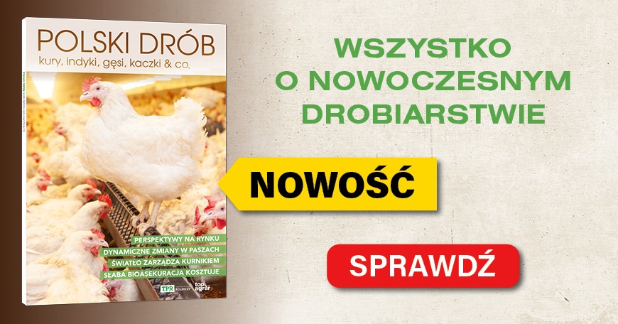 Polski drób